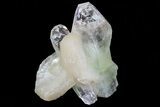 Zoned Apophyllite Crystals With Stilbite - India #72092-1